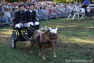 Pferde-und-Fohlenschau-2022-0093-