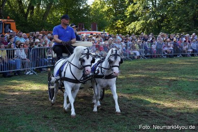 Pferde-und-Fohlenschau-2022-0094-