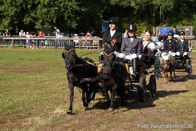 Pferde-und-Fohlenschau-2022-0095-