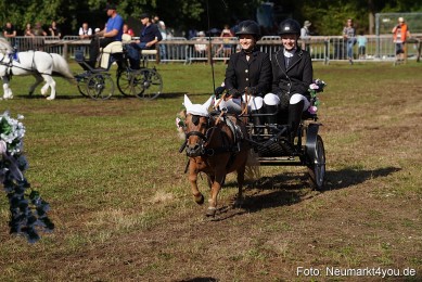 Pferde-und-Fohlenschau-2022-0096-