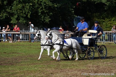 Pferde-und-Fohlenschau-2022-0097-