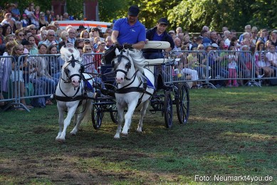 Pferde-und-Fohlenschau-2022-0098-
