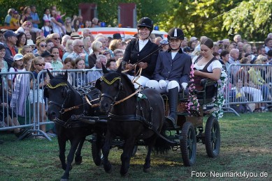 Pferde-und-Fohlenschau-2022-0099-