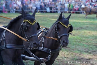 Pferde-und-Fohlenschau-2022-0100-