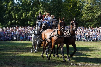 Pferde-und-Fohlenschau-2022-0112-