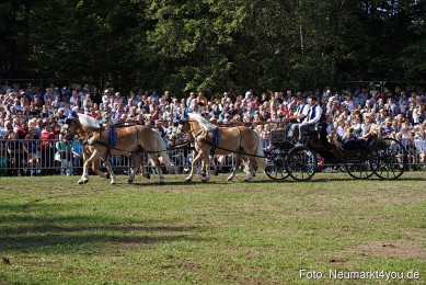 Pferde-und-Fohlenschau-2022-0114-