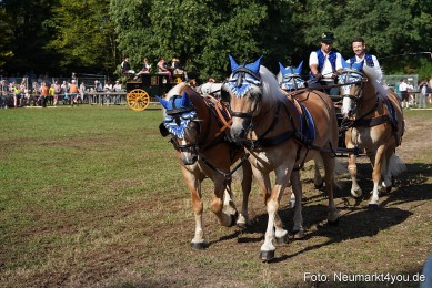 Pferde-und-Fohlenschau-2022-0118-