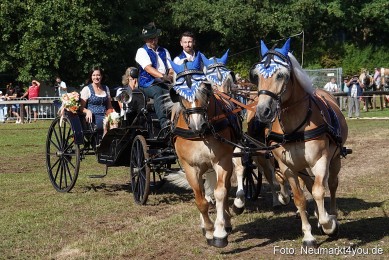 Pferde-und-Fohlenschau-2022-0121-