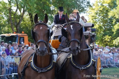 Pferde-und-Fohlenschau-2022-0122-