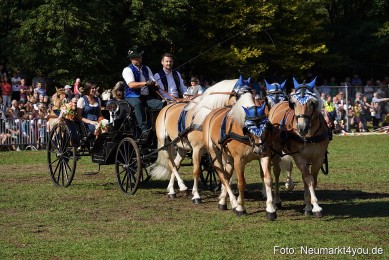 Pferde-und-Fohlenschau-2022-0126-