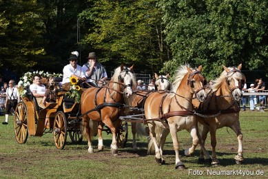 Pferde-und-Fohlenschau-2022-0128-
