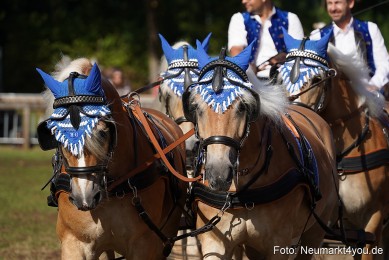 Pferde-und-Fohlenschau-2022-0130-