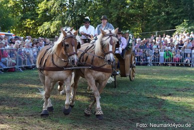 Pferde-und-Fohlenschau-2022-0134-