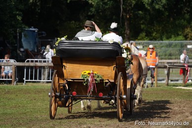Pferde-und-Fohlenschau-2022-0138-