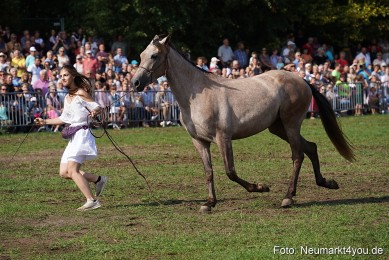 Pferde-und-Fohlenschau-2022-0150-