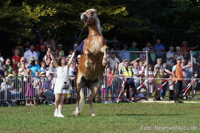 Pferde-und-Fohlenschau-2022-0151-