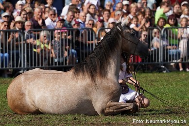 Pferde-und-Fohlenschau-2022-0154-