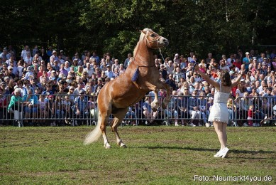 Pferde-und-Fohlenschau-2022-0157-