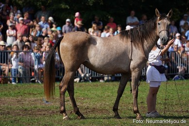 Pferde-und-Fohlenschau-2022-0158-
