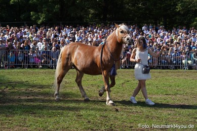 Pferde-und-Fohlenschau-2022-0159-