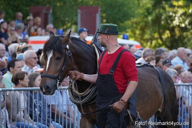 Pferde-und-Fohlenschau-2022-0162-