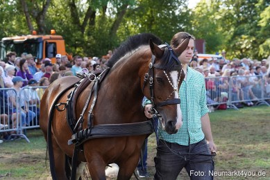 Pferde-und-Fohlenschau-2022-0164-