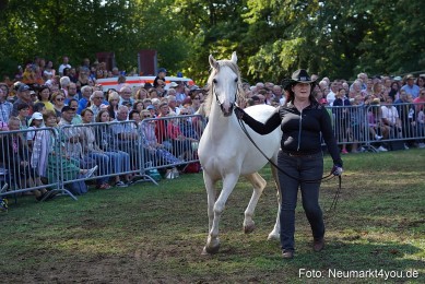 Pferde-und-Fohlenschau-2022-0166-