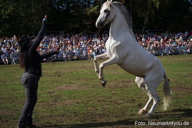 Pferde-und-Fohlenschau-2022-0167-