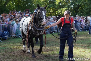 Pferde-und-Fohlenschau-2022-0168-