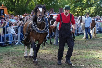 Pferde-und-Fohlenschau-2022-0169-