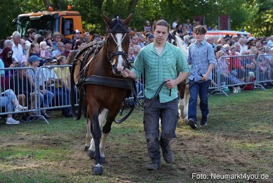 Pferde-und-Fohlenschau-2022-0170-