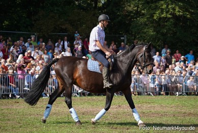 Pferde-und-Fohlenschau-2022-0173-