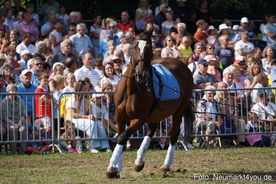 Pferde-und-Fohlenschau-2022-0176-