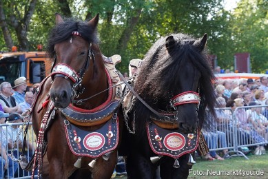 Pferde-und-Fohlenschau-2022-0178-