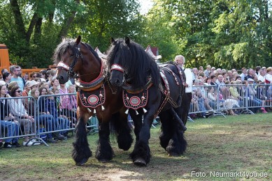 Pferde-und-Fohlenschau-2022-0185-