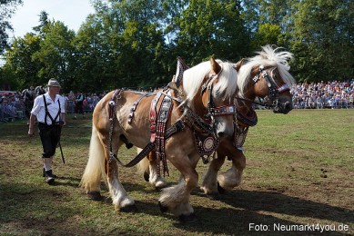 Pferde-und-Fohlenschau-2022-0187-