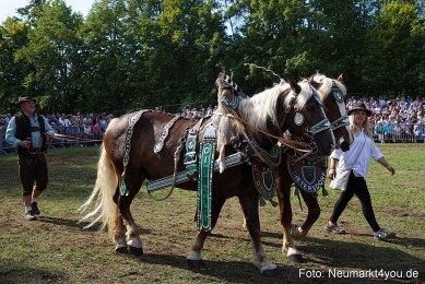 Pferde-und-Fohlenschau-2022-0188-