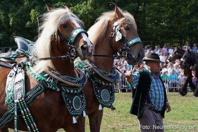 Pferde-und-Fohlenschau-2022-0197-