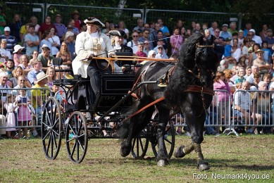 Pferde-und-Fohlenschau-2022-0200-