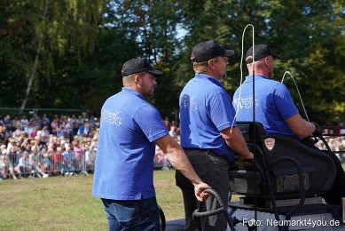 Pferde-und-Fohlenschau-2022-0204-