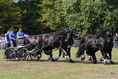 Pferde-und-Fohlenschau-2022-0208-