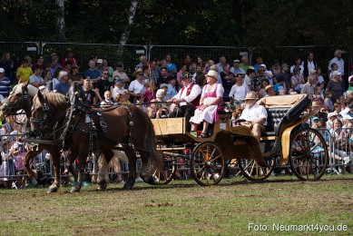 Pferde-und-Fohlenschau-2022-0210-