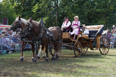 Pferde-und-Fohlenschau-2022-0211-