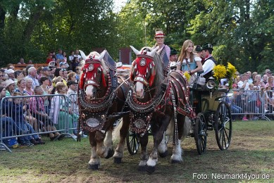 Pferde-und-Fohlenschau-2022-0214-