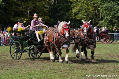Pferde-und-Fohlenschau-2022-0221-