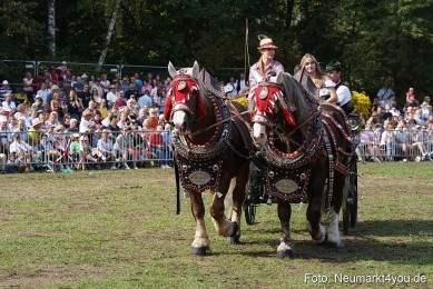 Pferde-und-Fohlenschau-2022-0228-