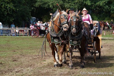 Pferde-und-Fohlenschau-2022-0229-