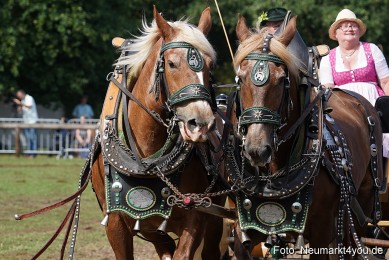 Pferde-und-Fohlenschau-2022-0230-
