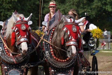 Pferde-und-Fohlenschau-2022-0234-