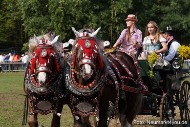 Pferde-und-Fohlenschau-2022-0238-